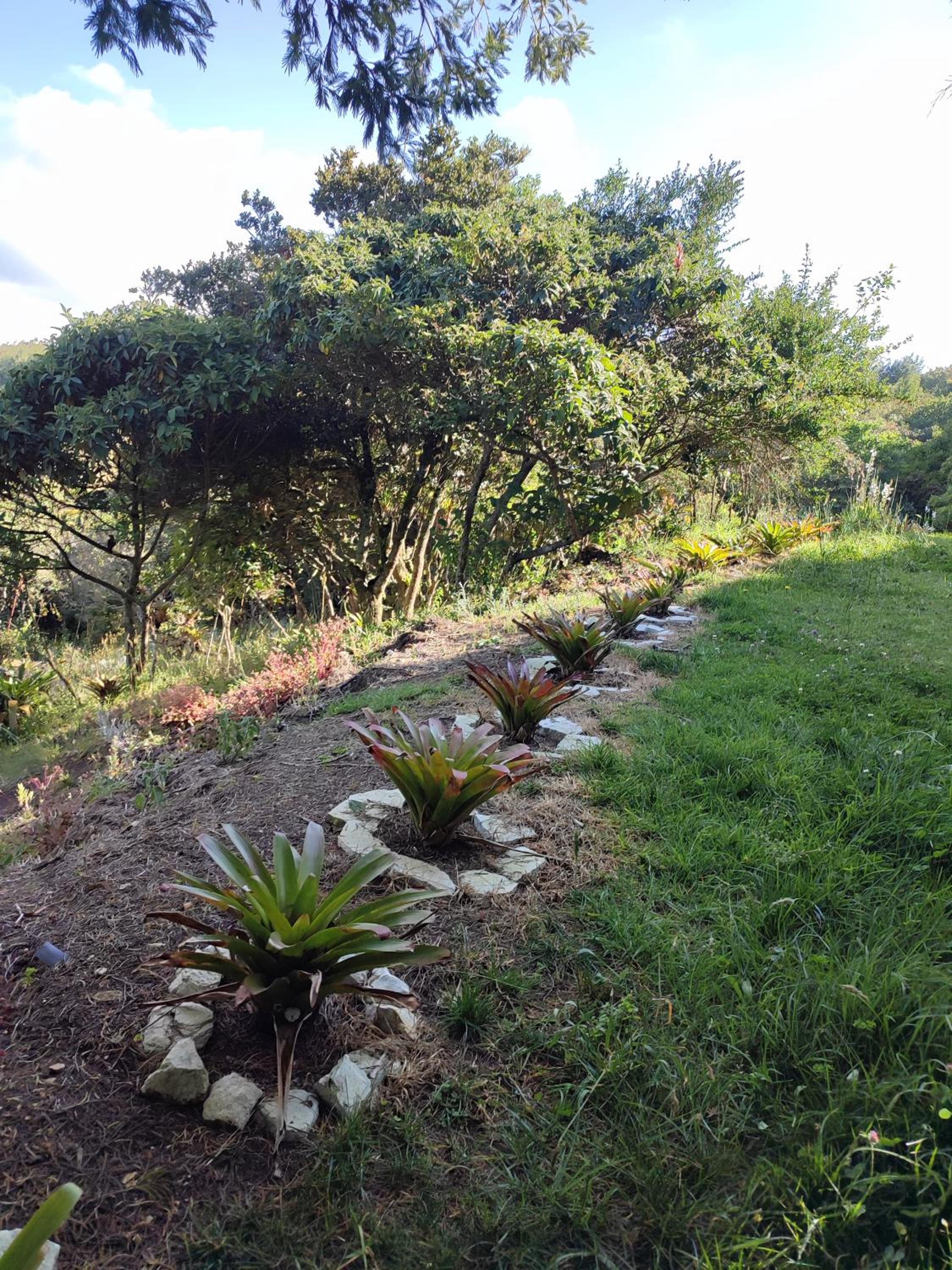 Blumonte Guatavita