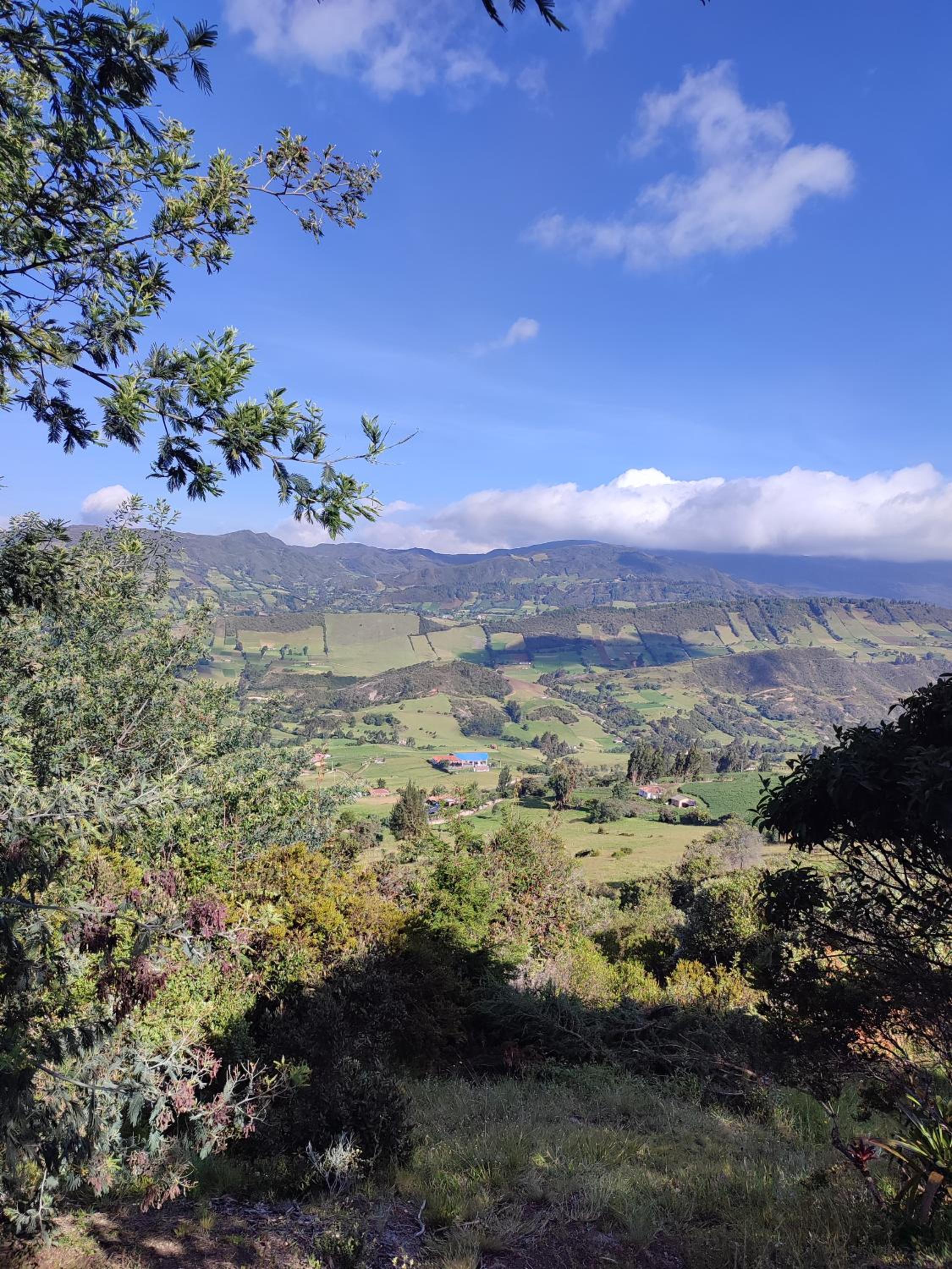 Blumonte Guatavita