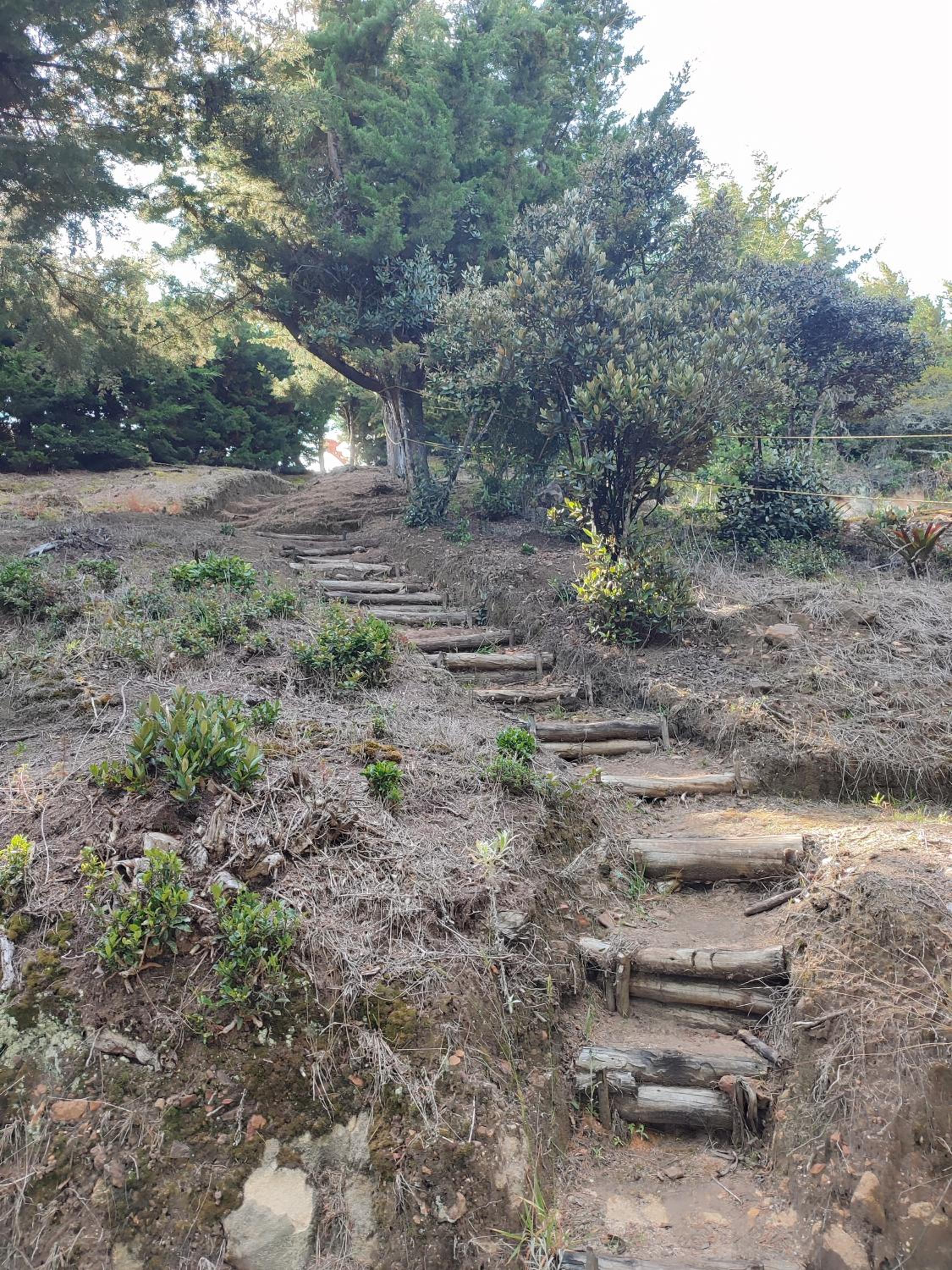 Blumonte Guatavita