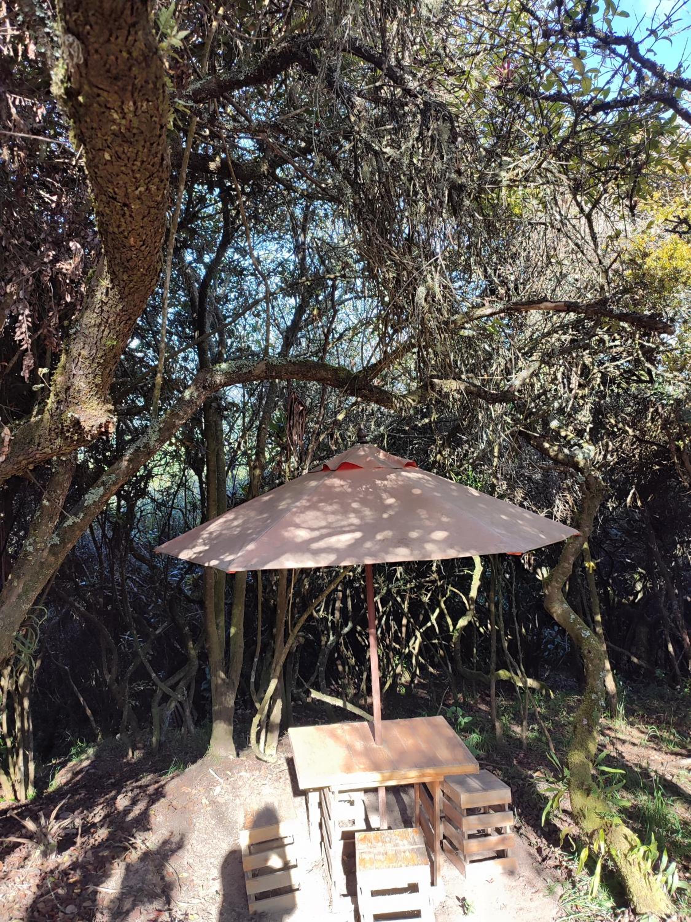 Blumonte Guatavita