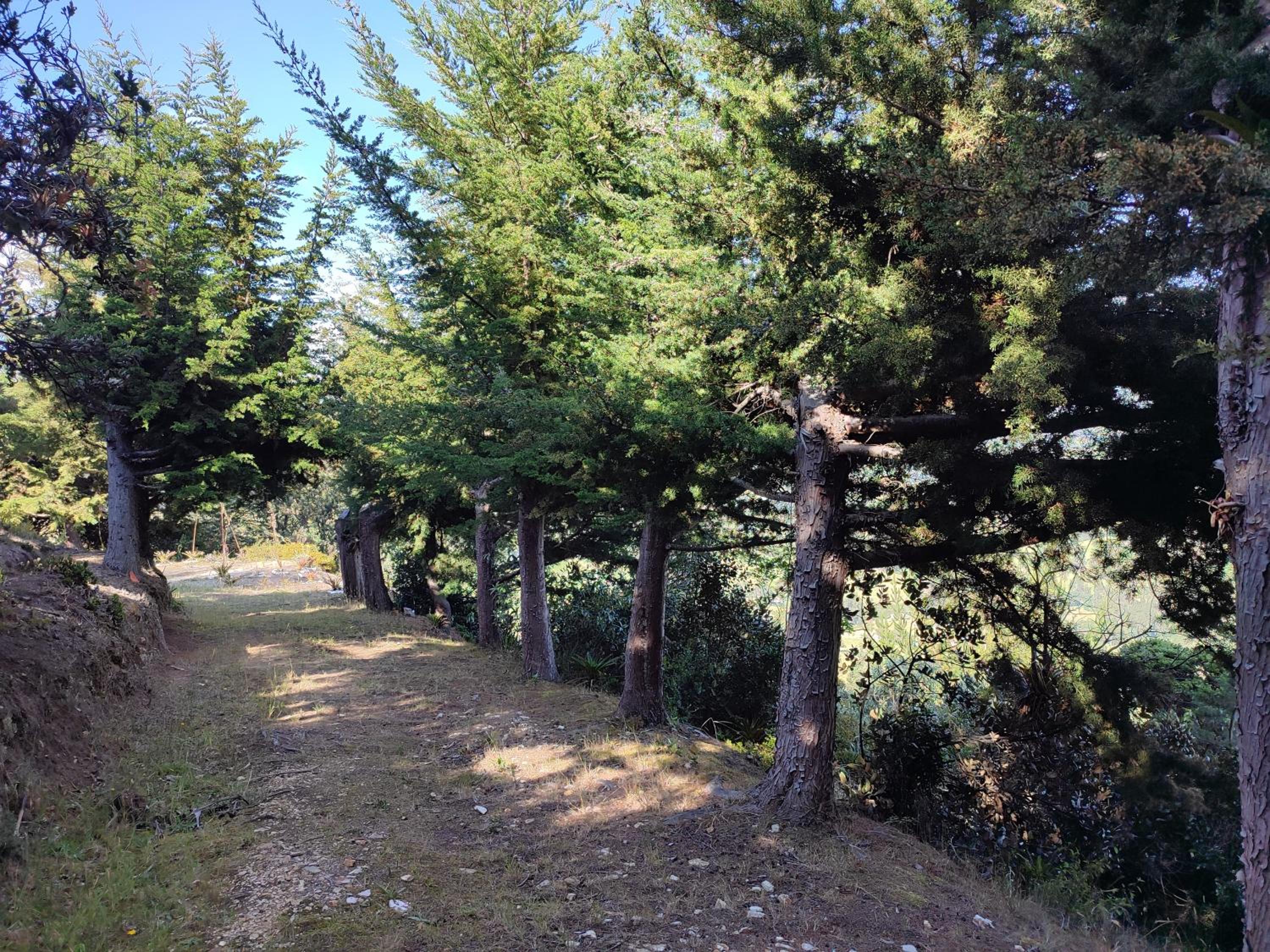 Blumonte Guatavita