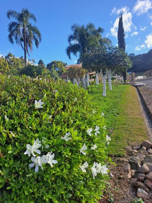 Sítio das Flores