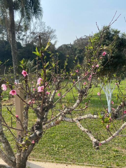 Sítio das Flores