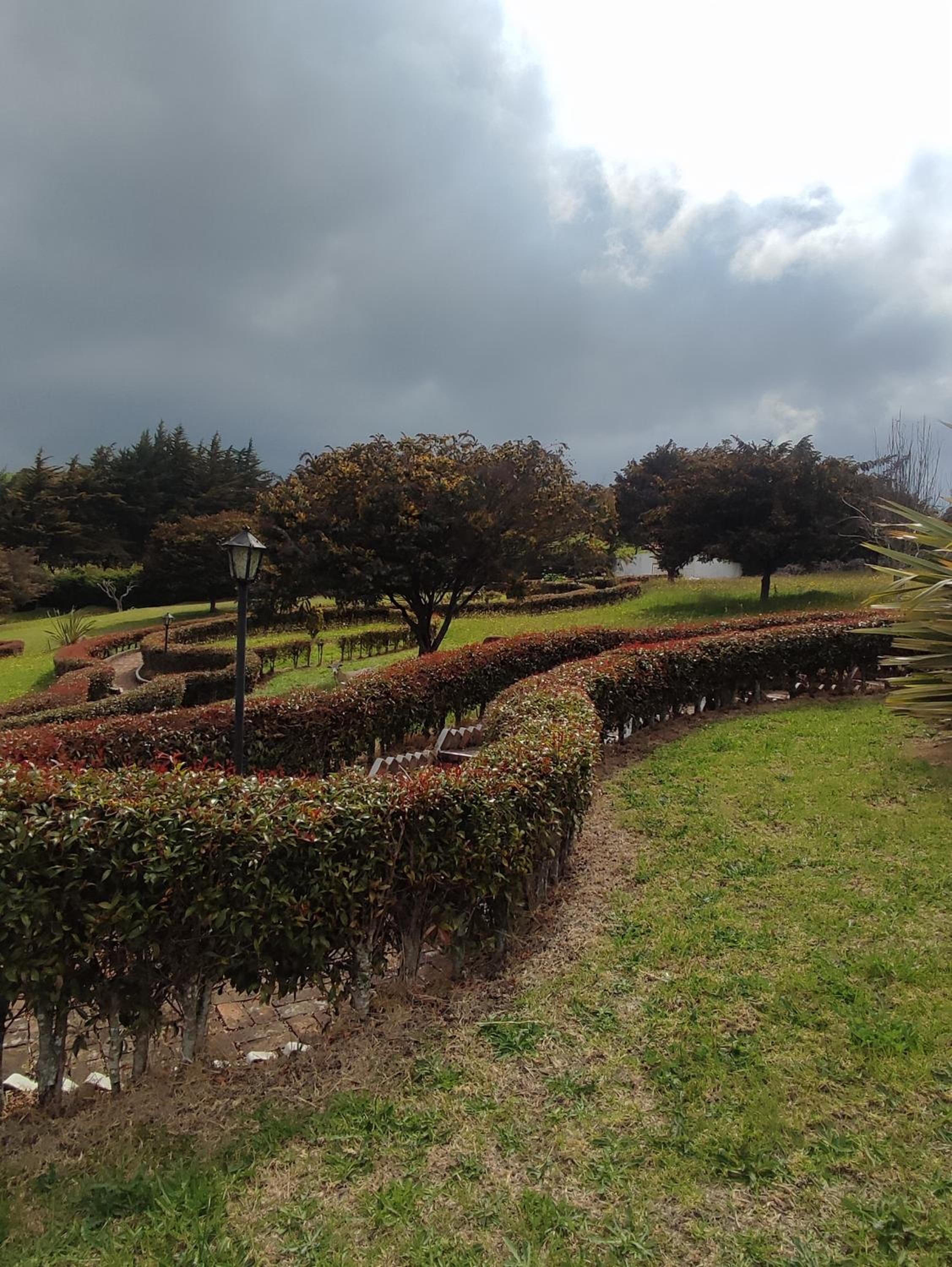 Blumonte Guatavita