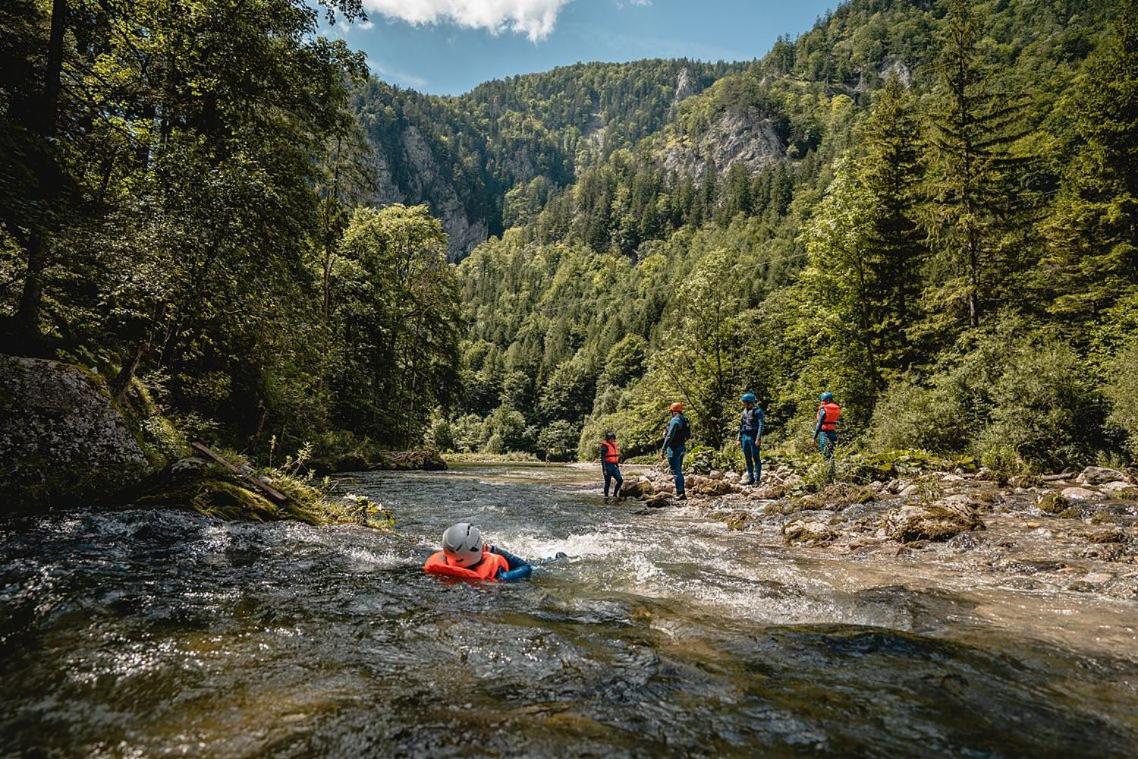 Wild Glamping in the Vienna Alps