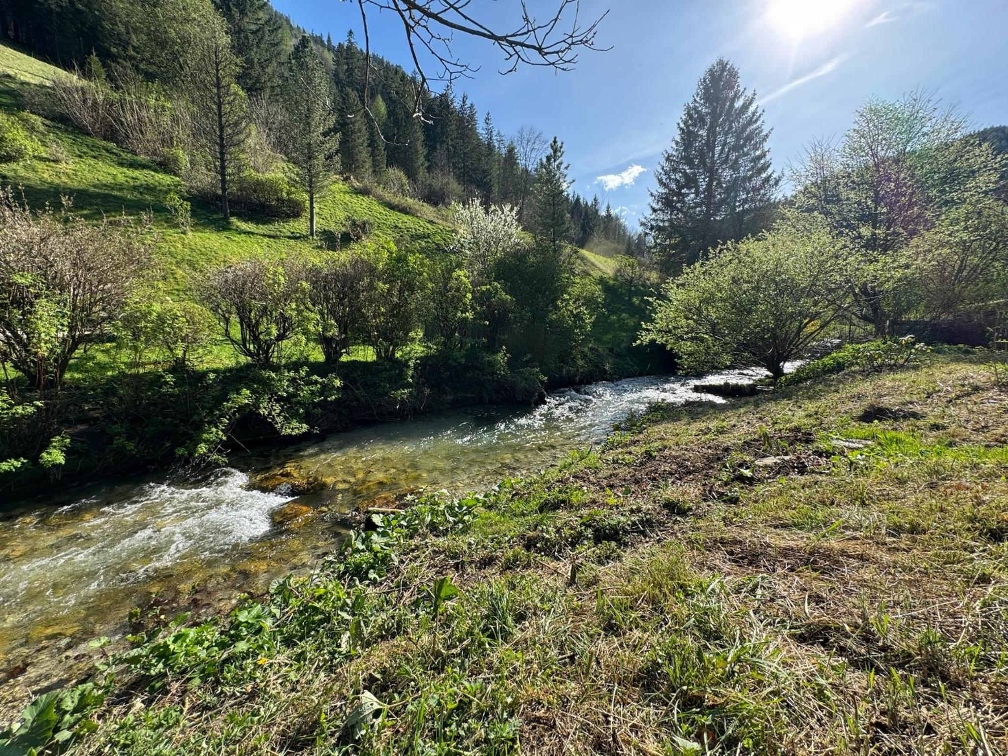 Wild Glamping in the Vienna Alps
