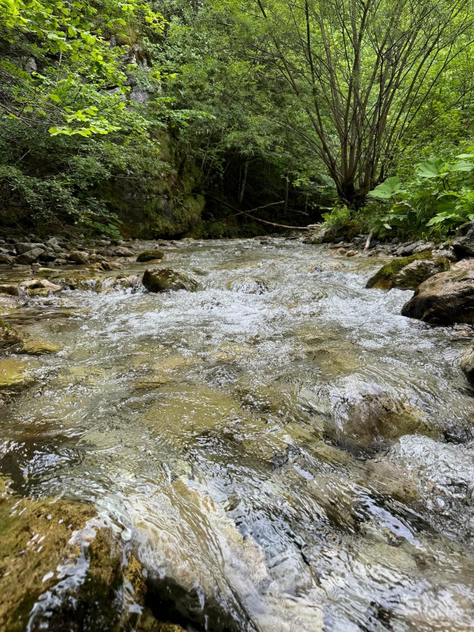 Wild Glamping in the Vienna Alps