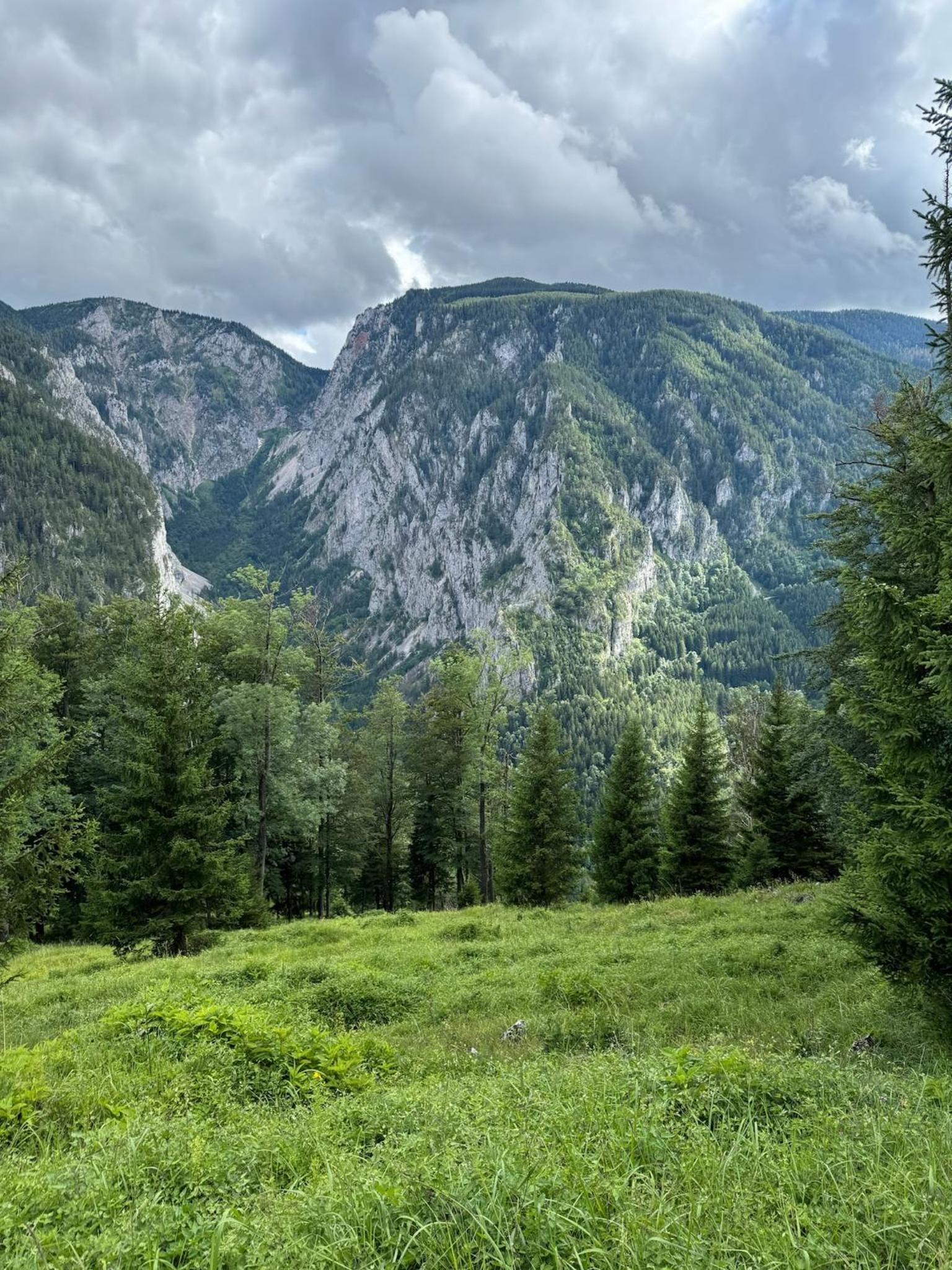 Wild Glamping in the Vienna Alps