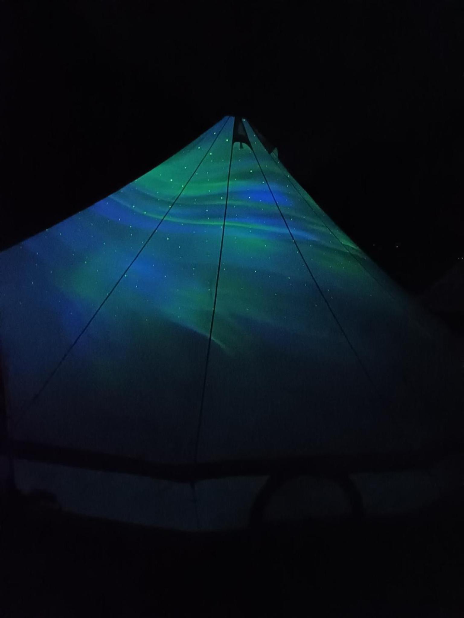 Wild Glamping in the Vienna Alps