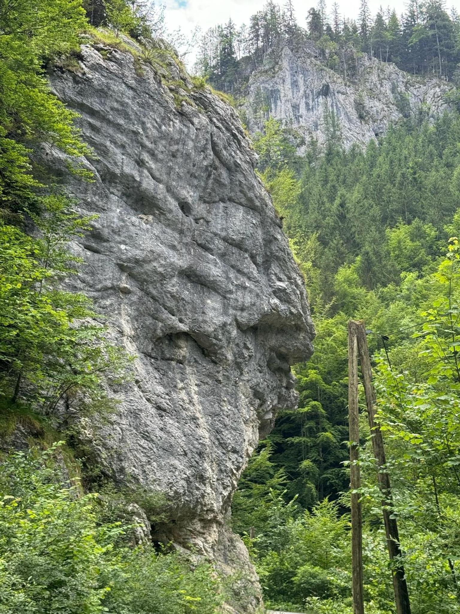 Wild Glamping in the Vienna Alps