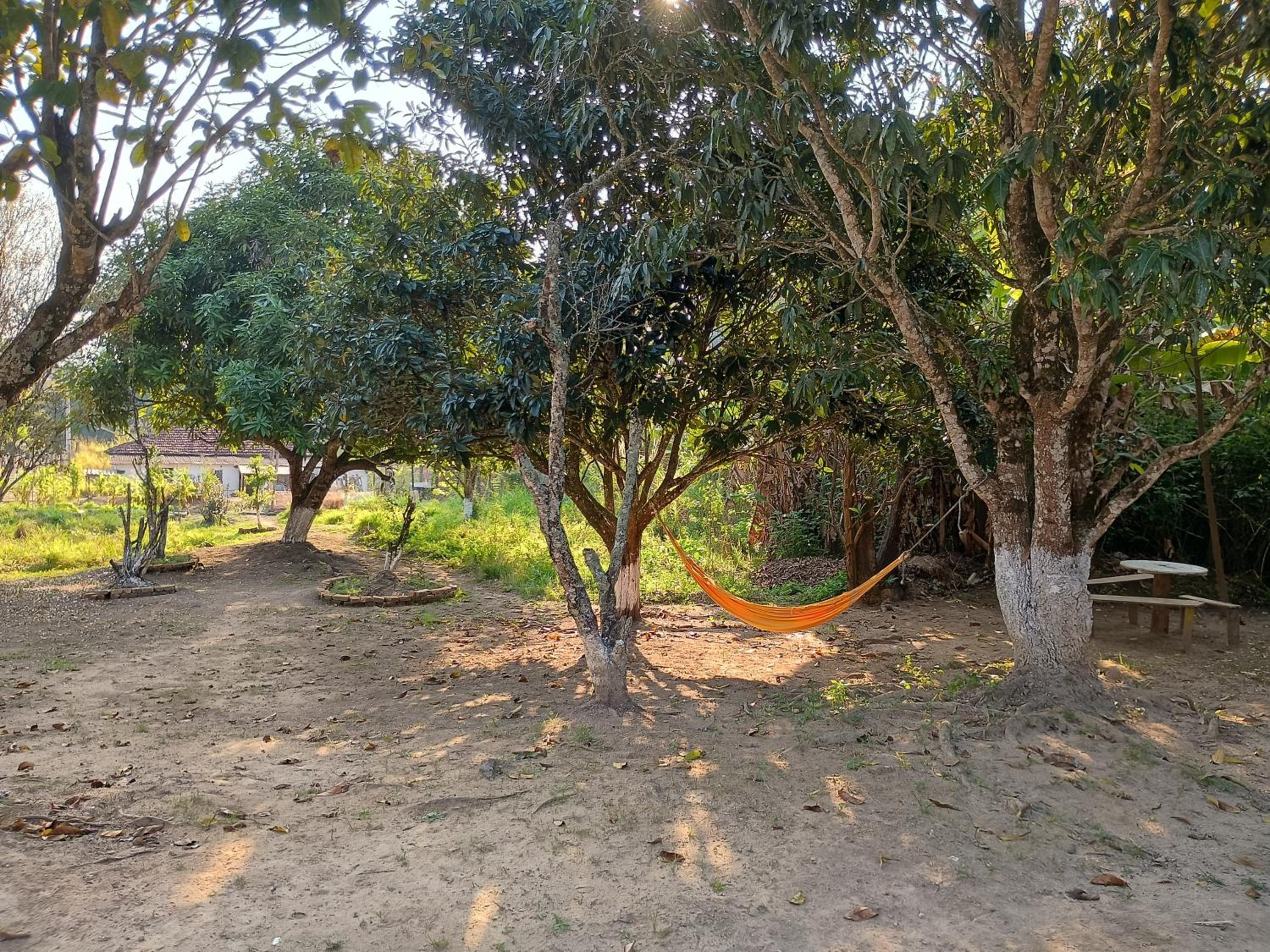 Cantinho da paz