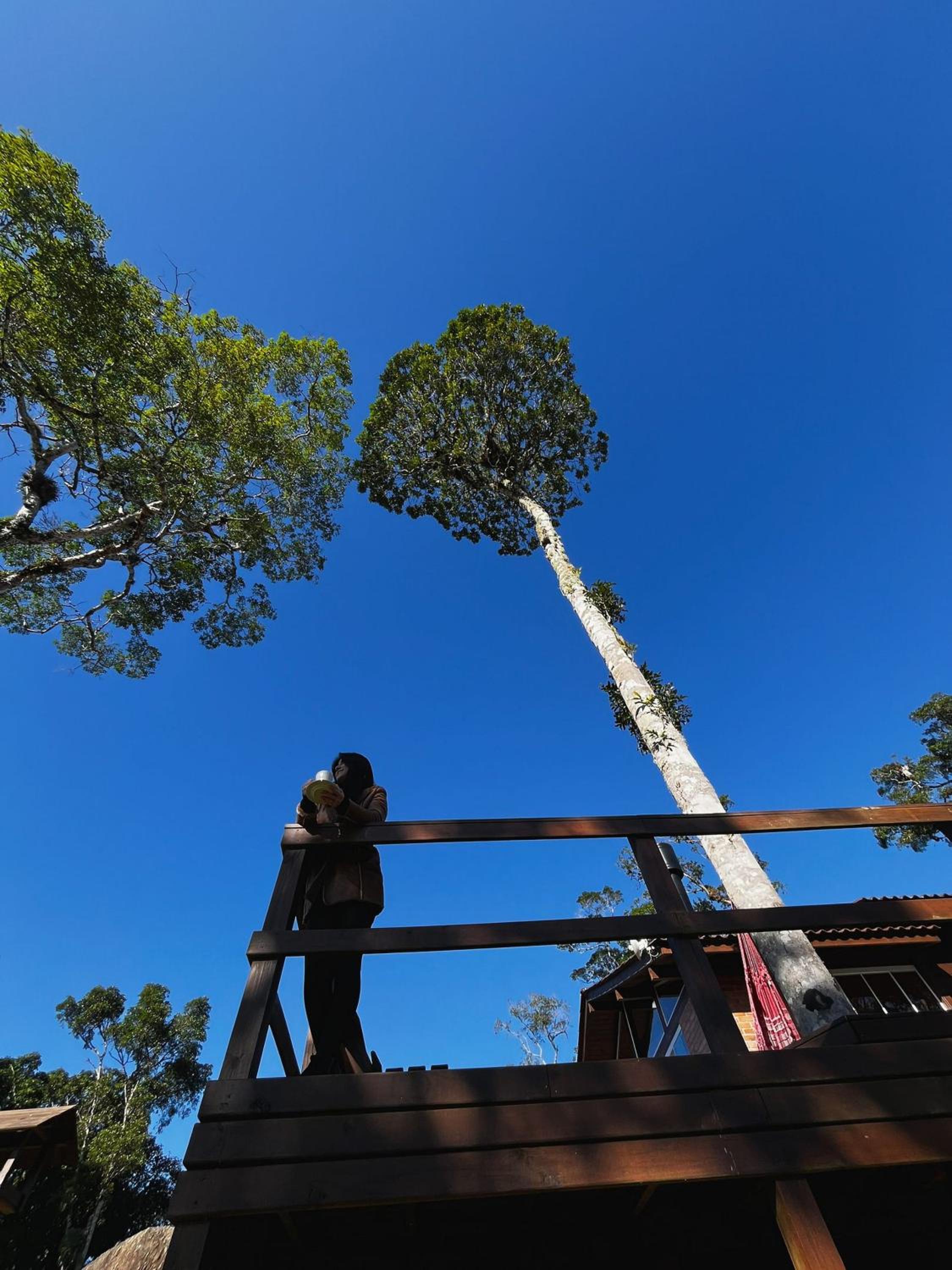 Recanto dos Pássaros na Serra Catarinense