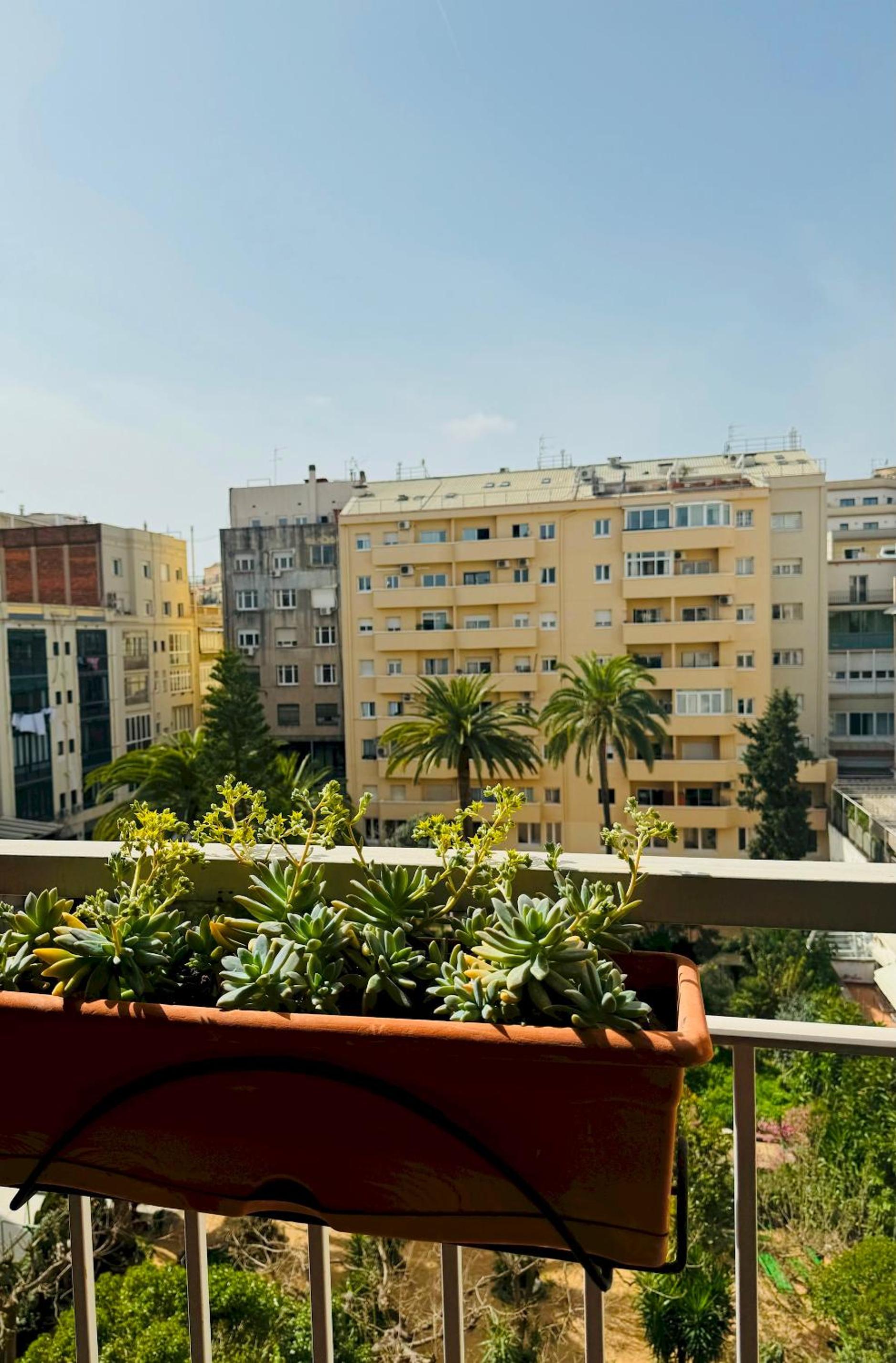 Modernist Gem Penthouse