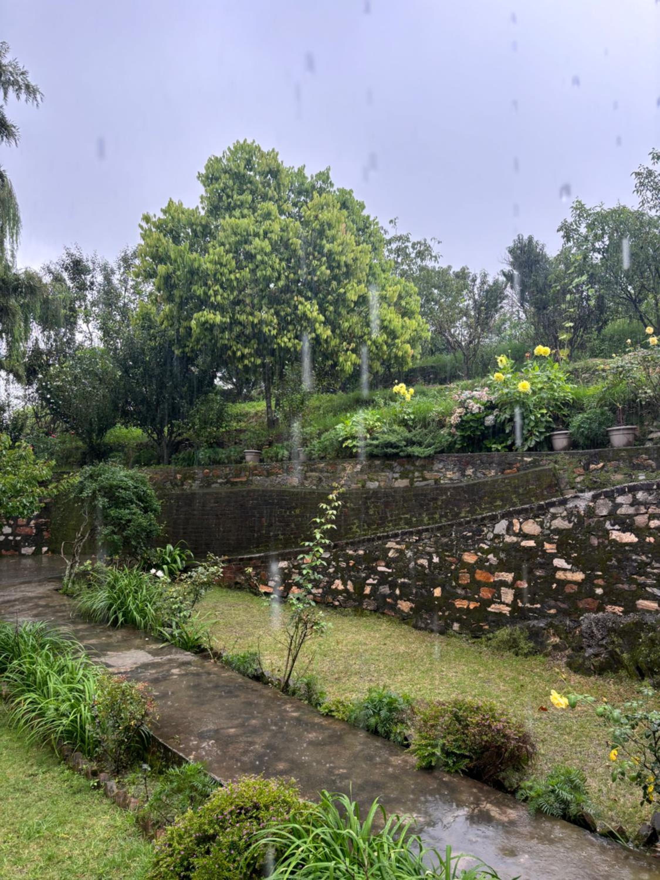 11EleVen Farms with Jacuzzi & Private Orchard Garden view 2
