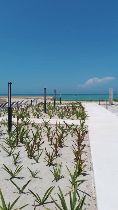 Navela Beachfront Living view 5
