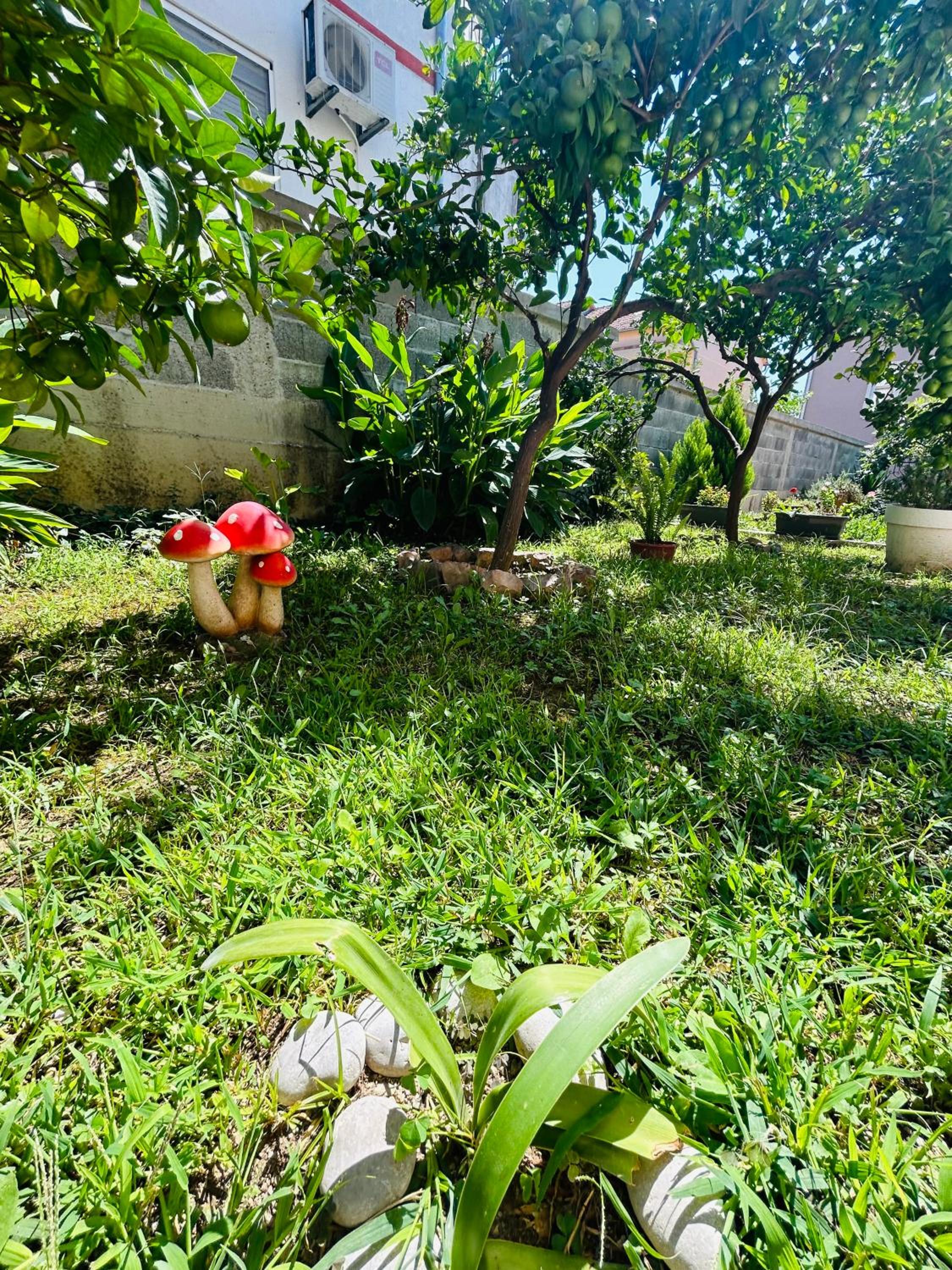 Makera view 5