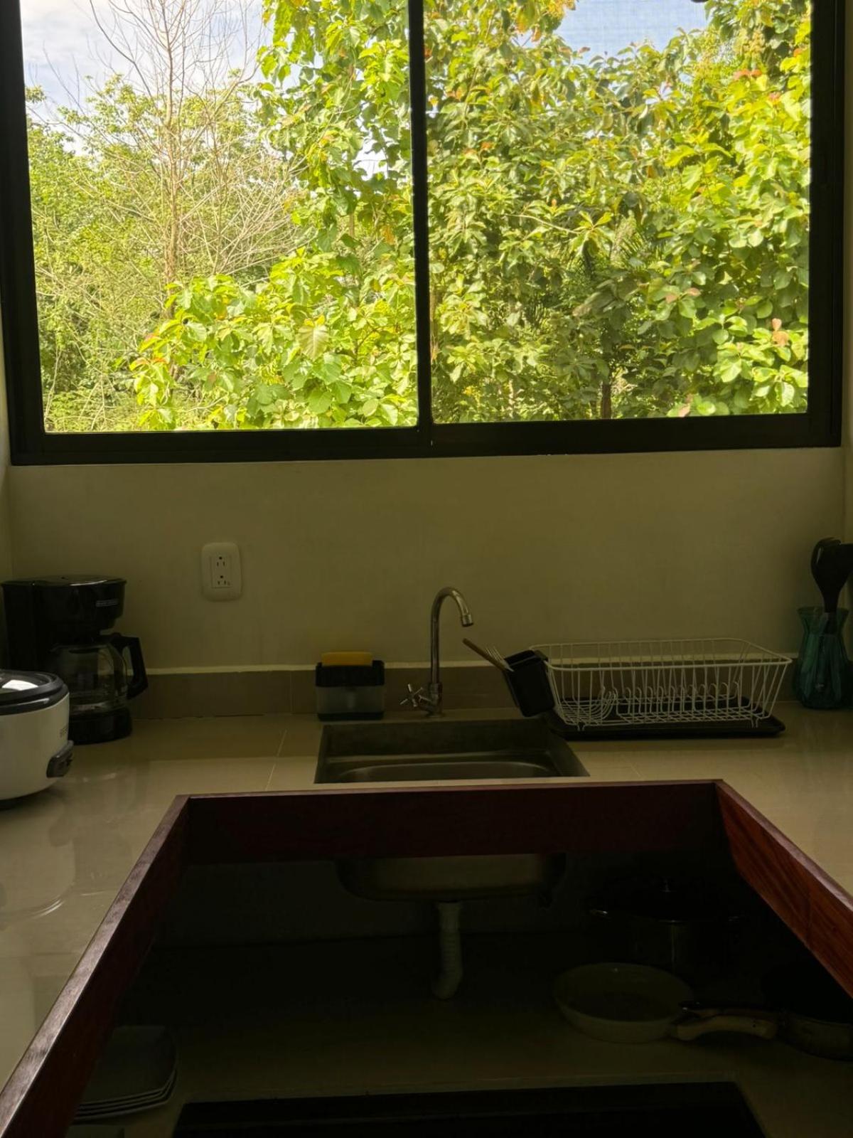 Luz de Estrella Studios