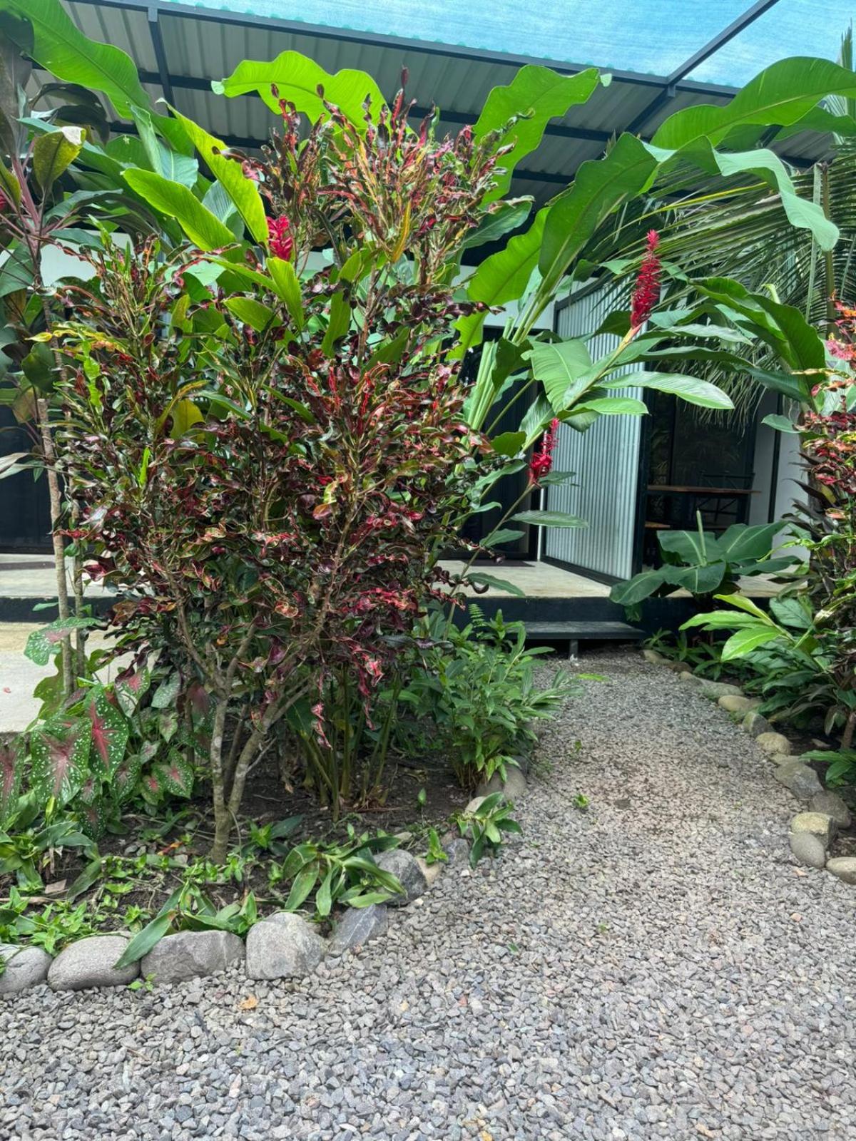 Luz de Estrella Studios
