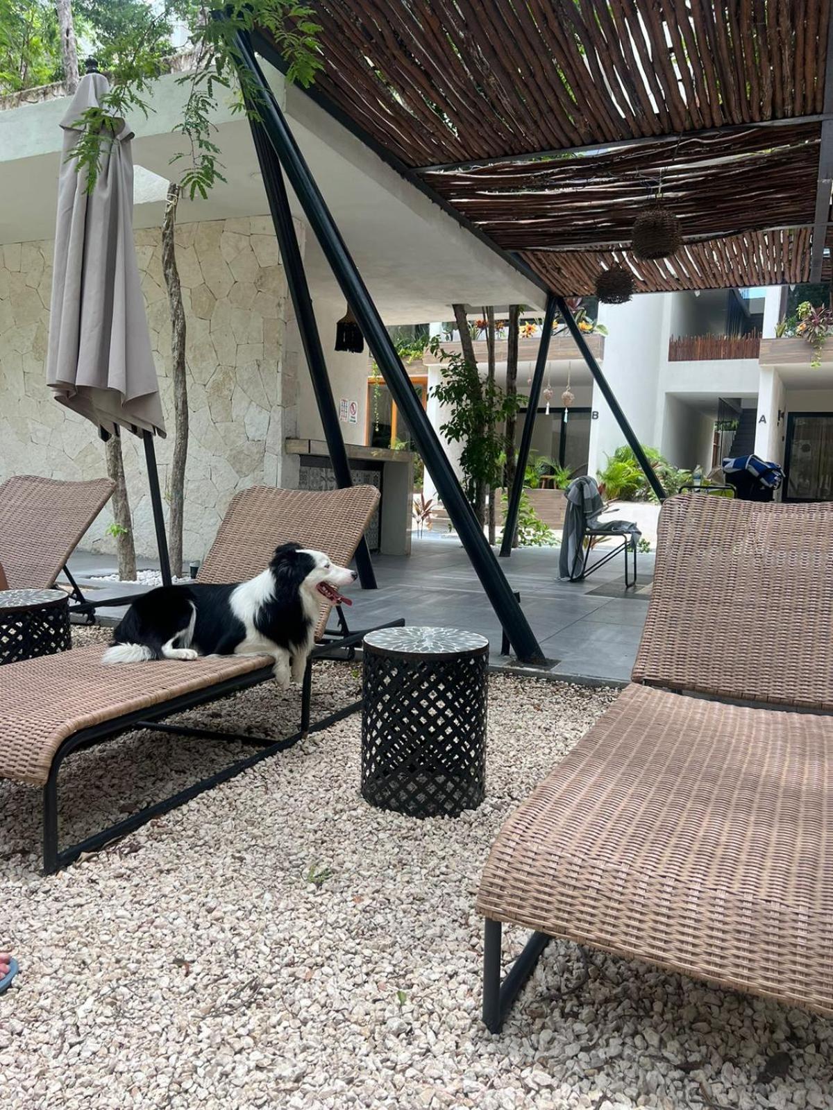 Hermoso ESTUDIO EN NAIA TULUM view 4