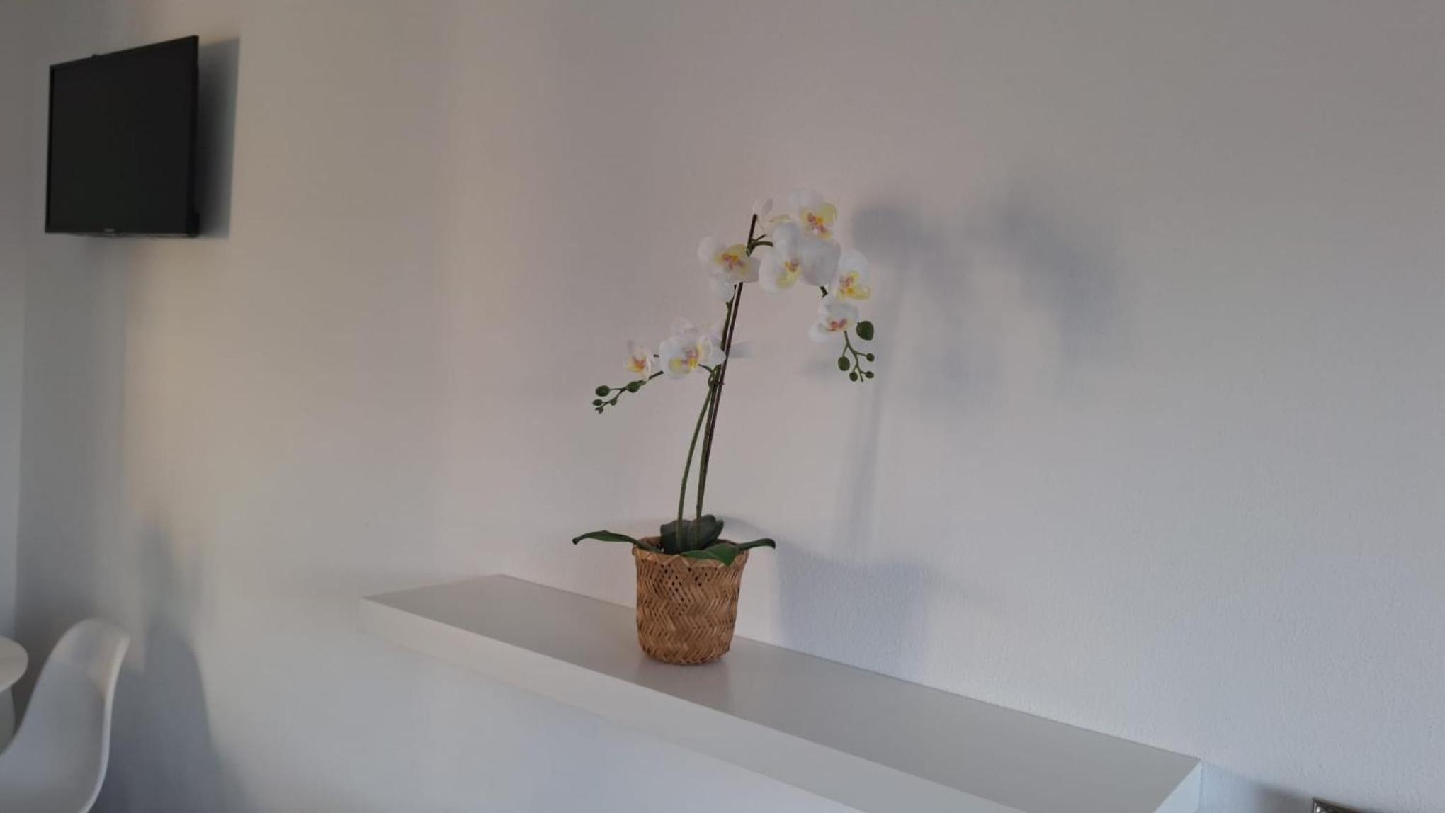 Photo 52
