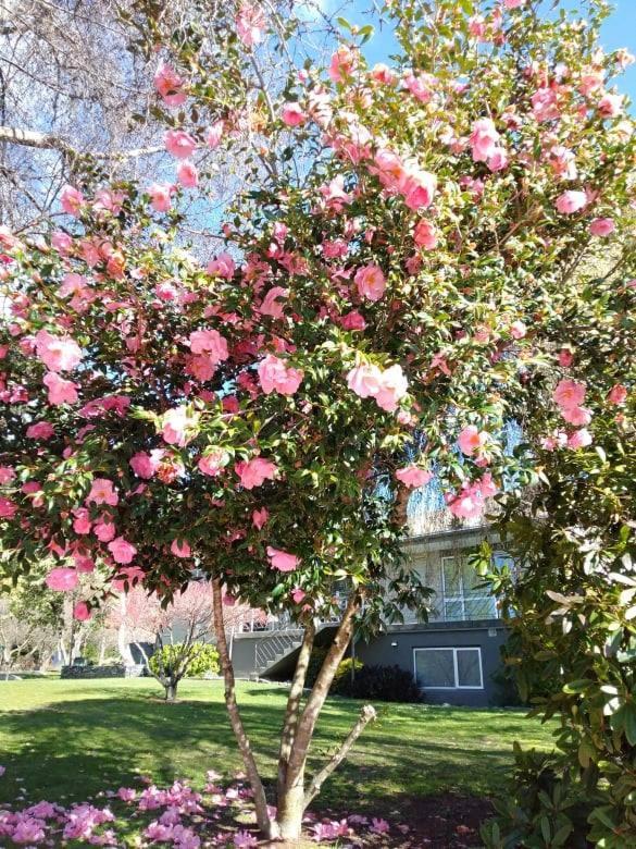 Tasman Holiday Parks - Wanaka