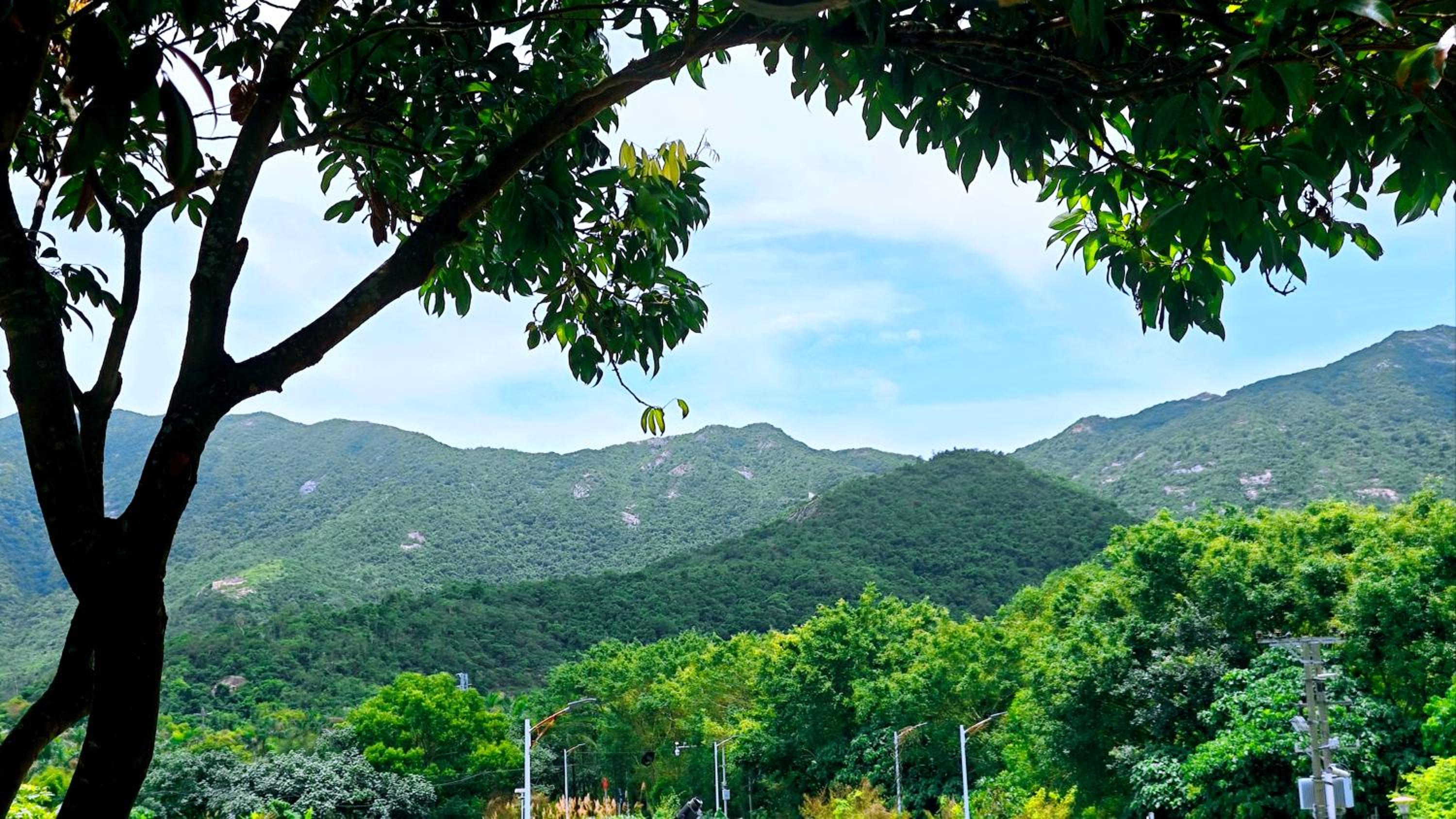 Cloud Tree Inn Boutique Guesthouse XiChong DaPeng ShenZhen 深圳大鹏西涌云树里民宿Yun Shu Li