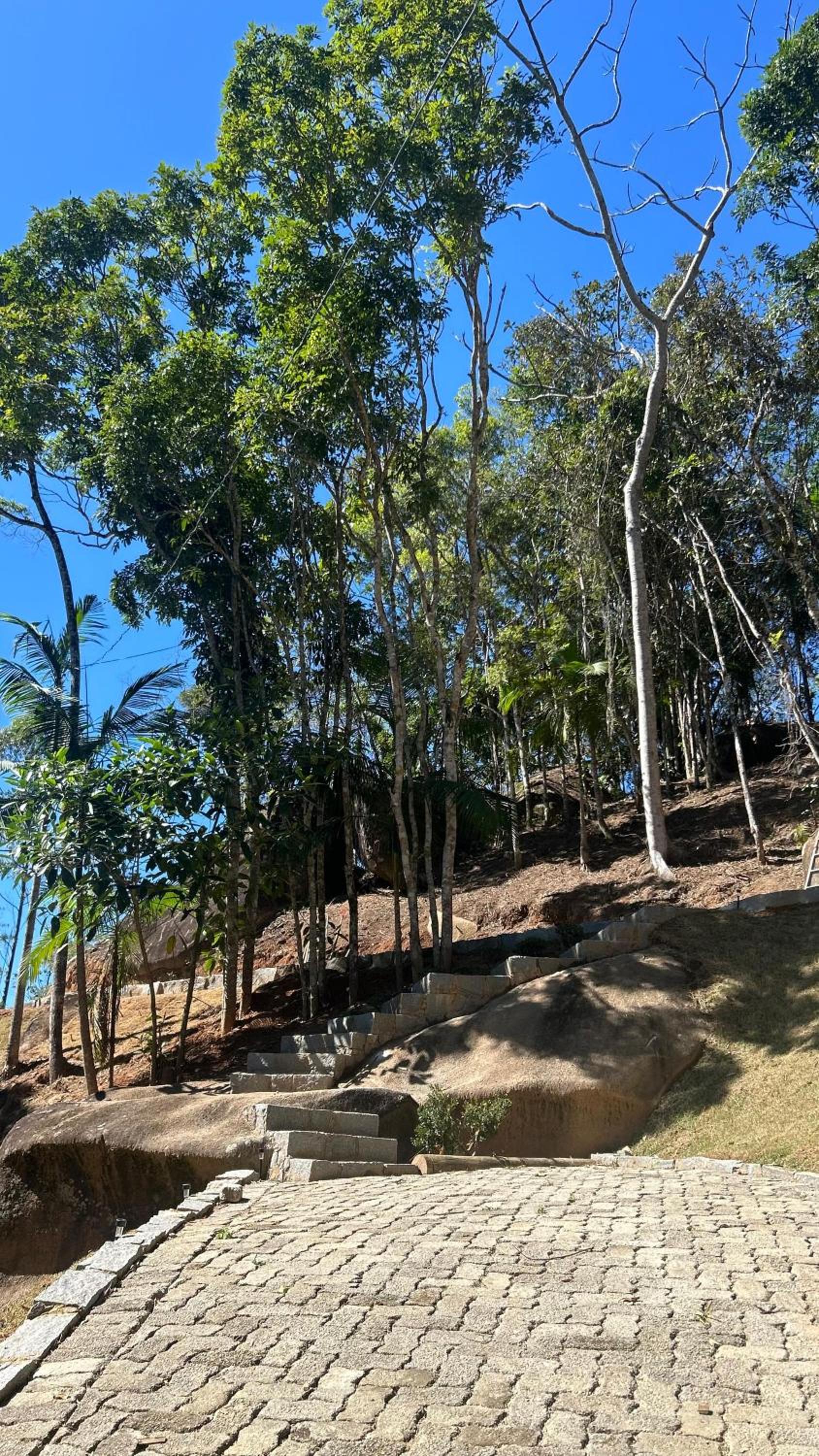 Cabana Mirante