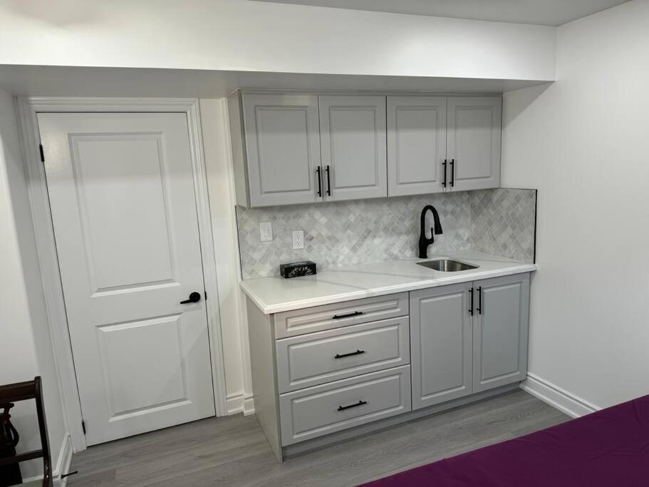 Smart & Cute 1BR Basement Apartment-Milton
