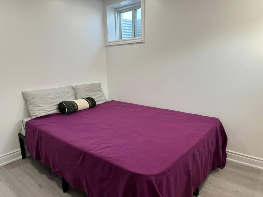 Smart & Cute 1BR Basement Apartment-Milton