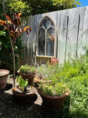 Tea Tree - Pet Friendly - Prevelly - Margaret River