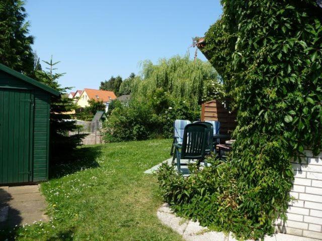 HAUS Backbord