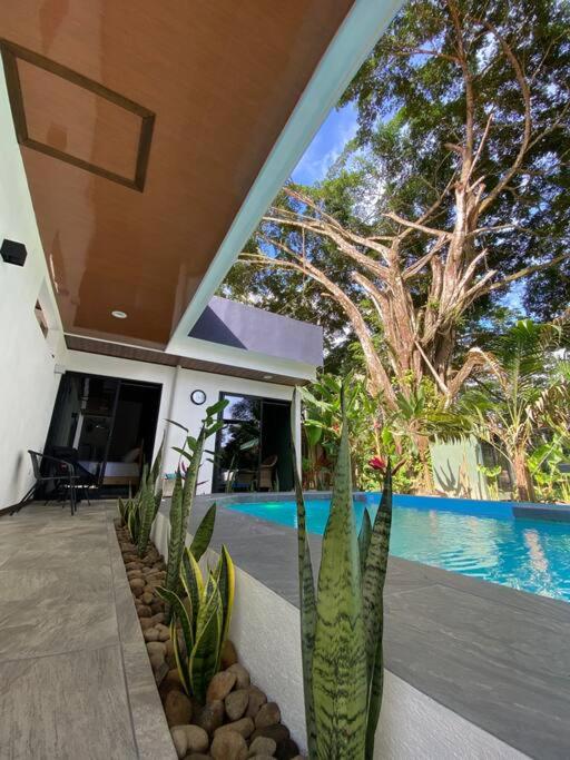 Fortuna Jungle & River Retreat - Private pool, River and Wifi in the forest - Secluded, peaceful, truly UNIQUE! A GEM! Book Now!