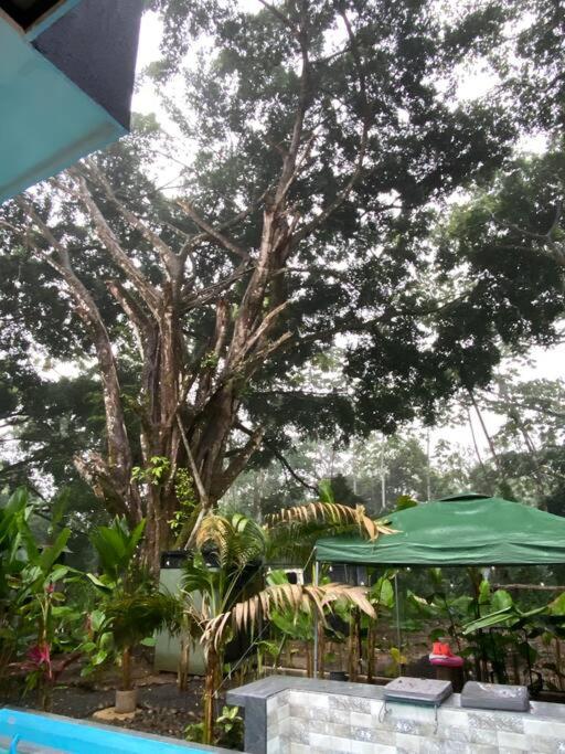 Fortuna Jungle & River Retreat - Private pool, River and Wifi in the forest - Secluded, peaceful, truly UNIQUE! A GEM! Book Now!
