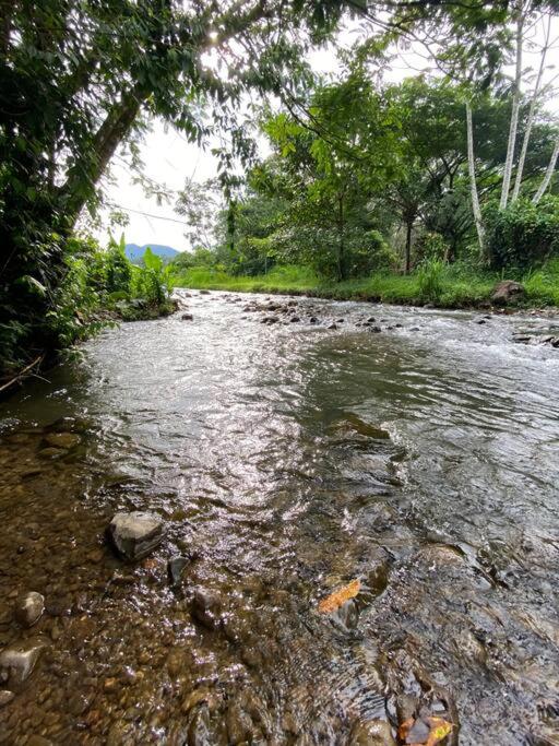 Fortuna Jungle & River Retreat - Private pool, River and Wifi in the forest - Secluded, peaceful, truly UNIQUE! A GEM! Book Now!