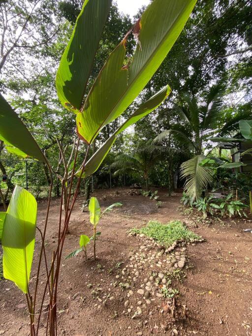 Fortuna Jungle & River Retreat - Private pool, River and Wifi in the forest - Secluded, peaceful, truly UNIQUE! A GEM! Book Now!
