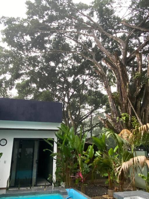 Fortuna Jungle & River Retreat - Private pool, River and Wifi in the forest - Secluded, peaceful, truly UNIQUE! A GEM! Book Now!