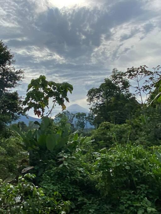 Fortuna Jungle & River Retreat - Private pool, River and Wifi in the forest - Secluded, peaceful, truly UNIQUE! A GEM! Book Now!
