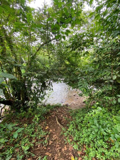 Fortuna Jungle & River Retreat - Private pool, River and Wifi in the forest - Secluded, peaceful, truly UNIQUE! A GEM! Book Now!