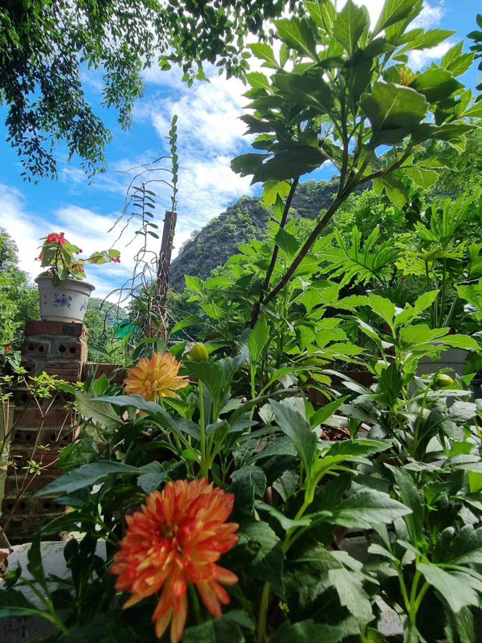 Hoa lu Eco Homestay