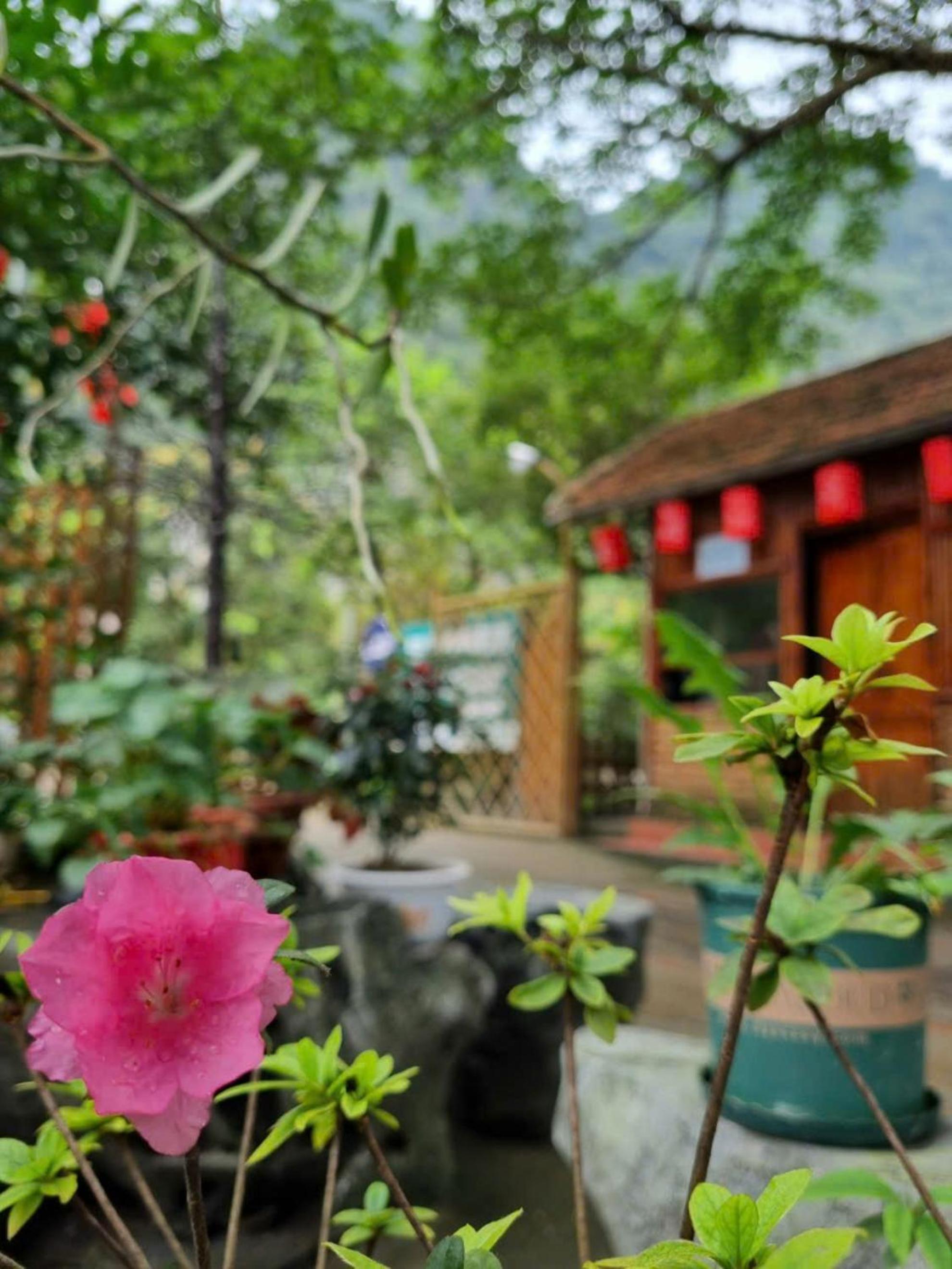 Hoa lu Eco Homestay