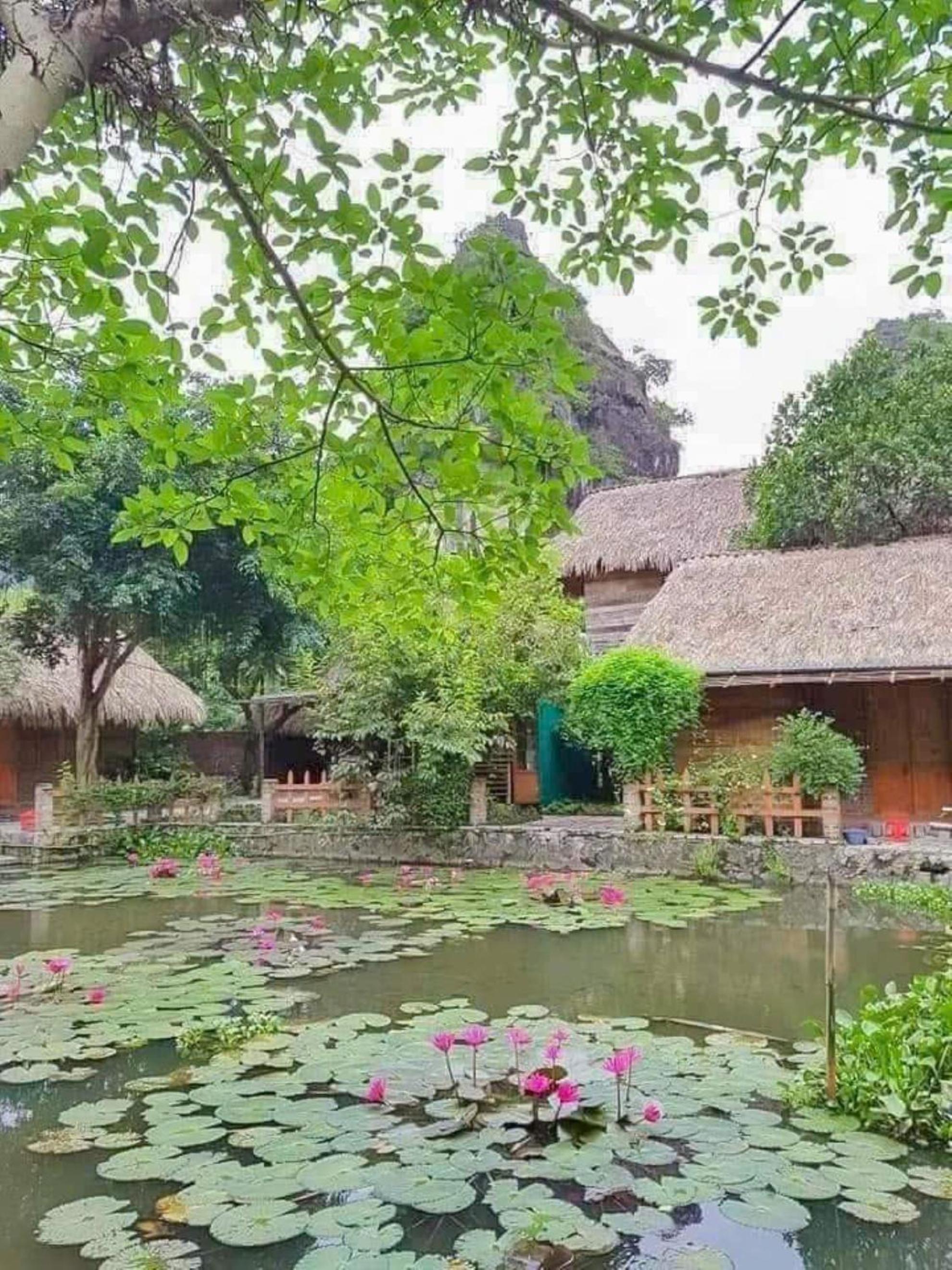 Hoa lu Eco Homestay