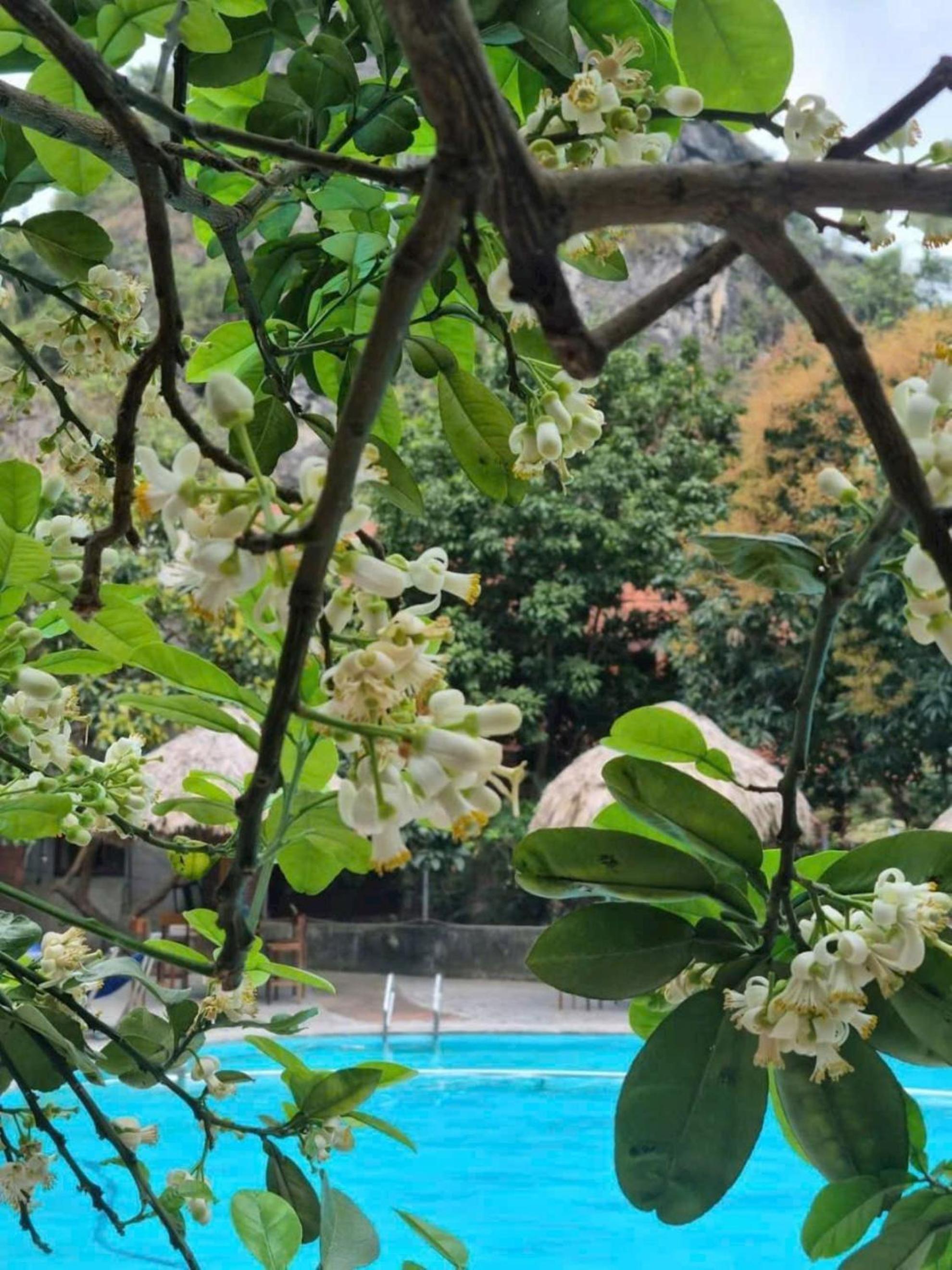Hoa lu Eco Homestay