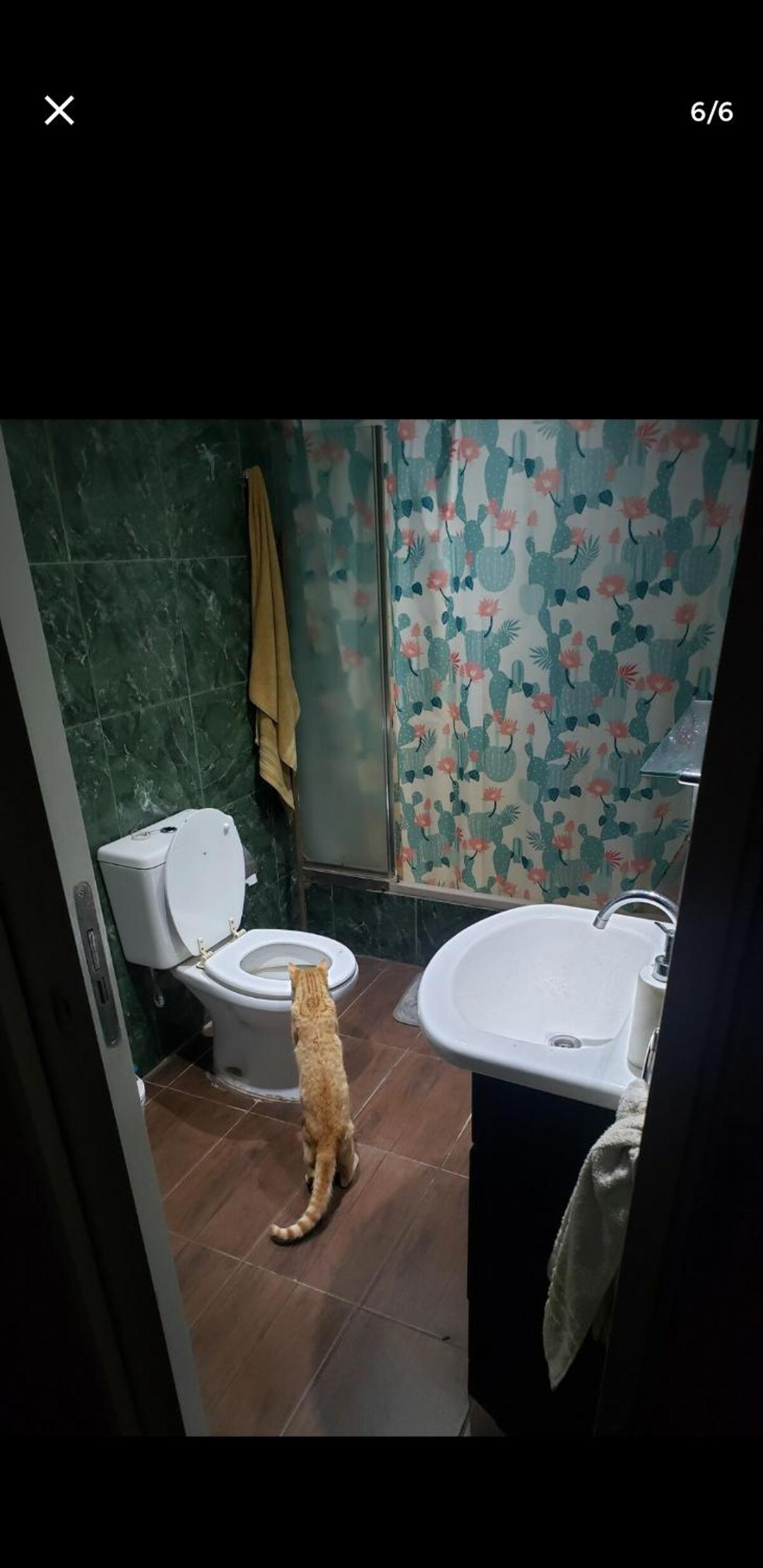 Casa bosque y playa pet-friendly