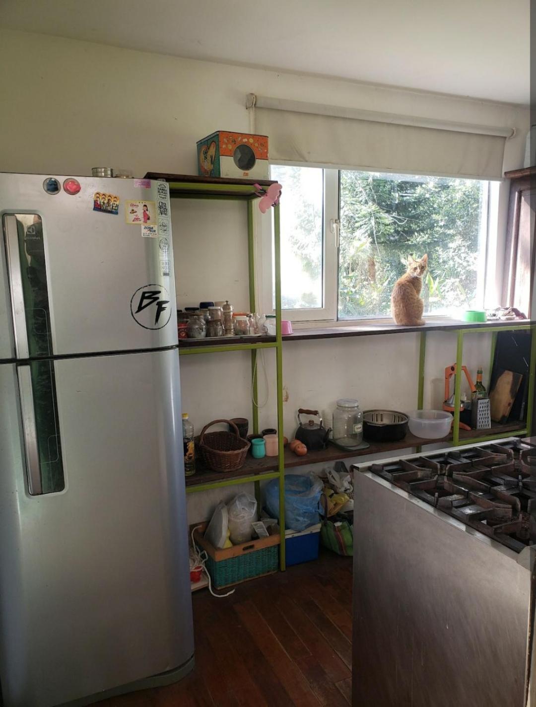 Casa bosque y playa pet-friendly