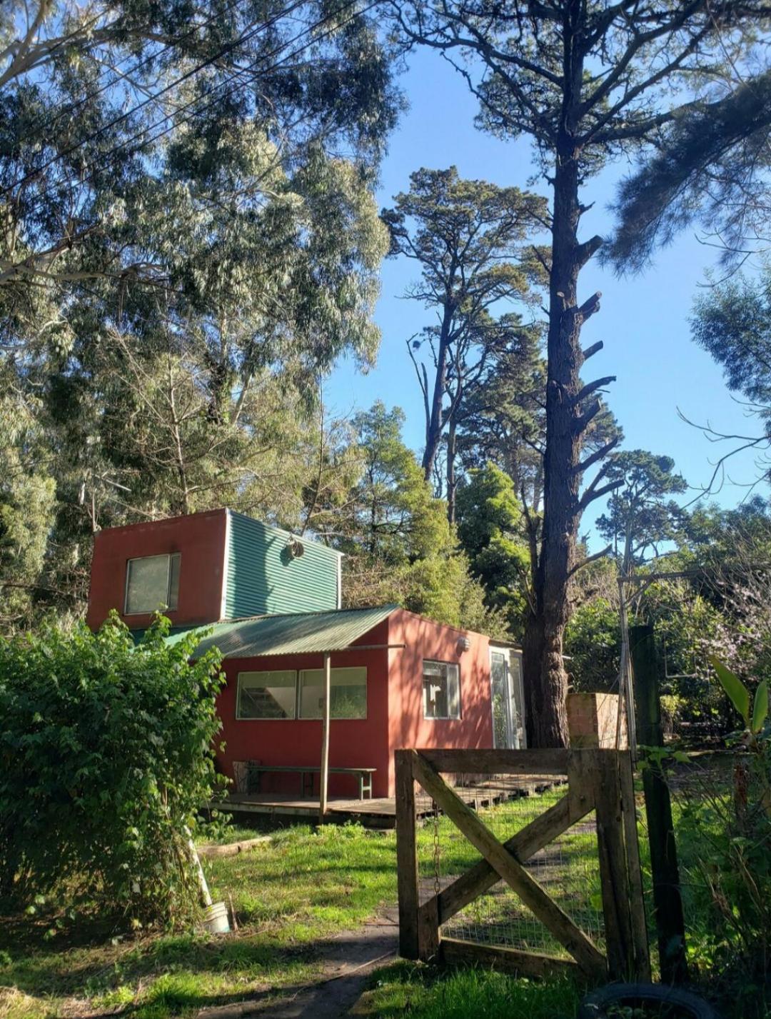 Casa bosque y playa pet-friendly