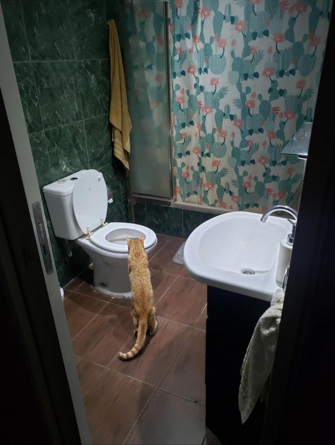 Casa bosque y playa pet-friendly