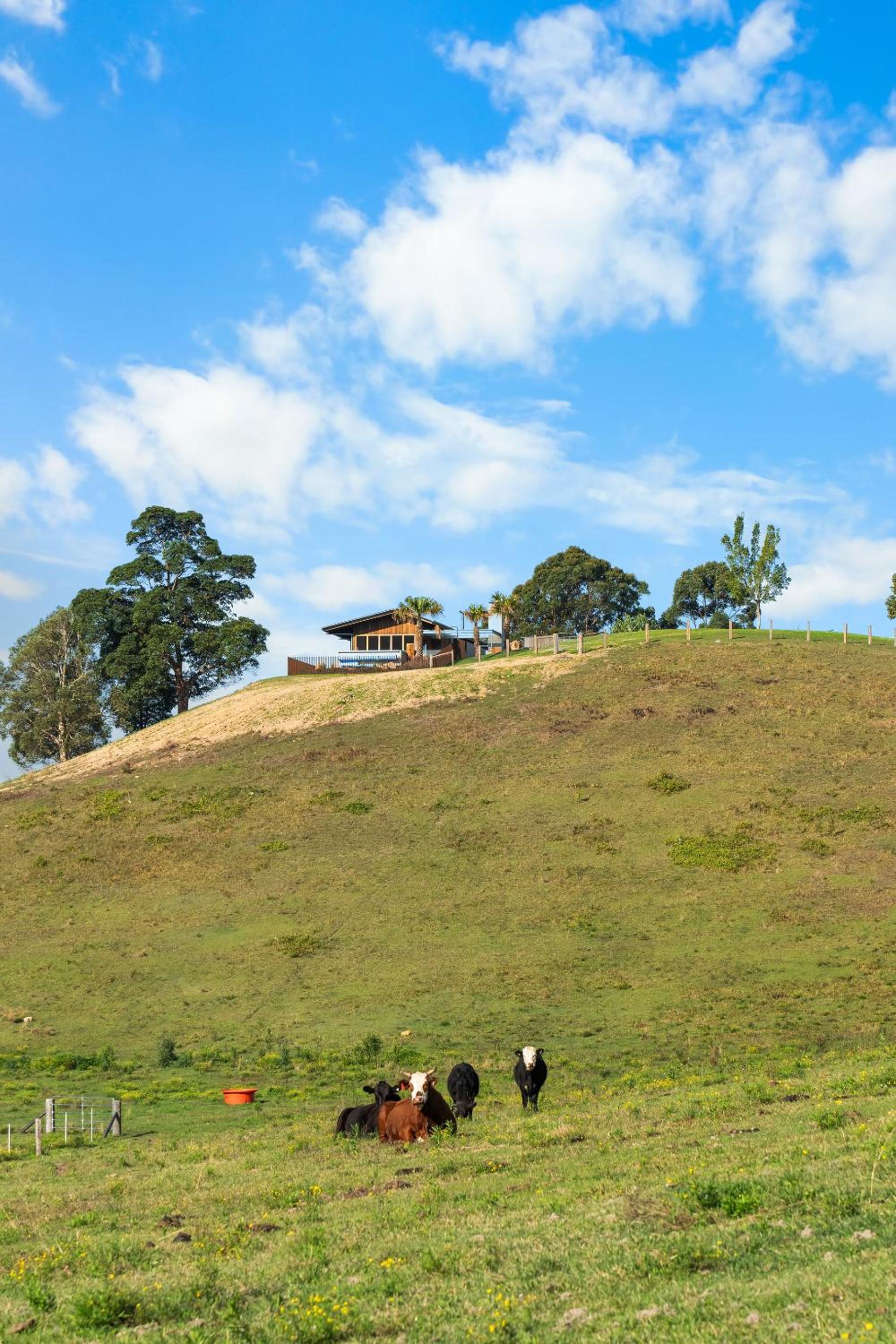 Myocum Ridge Farm
