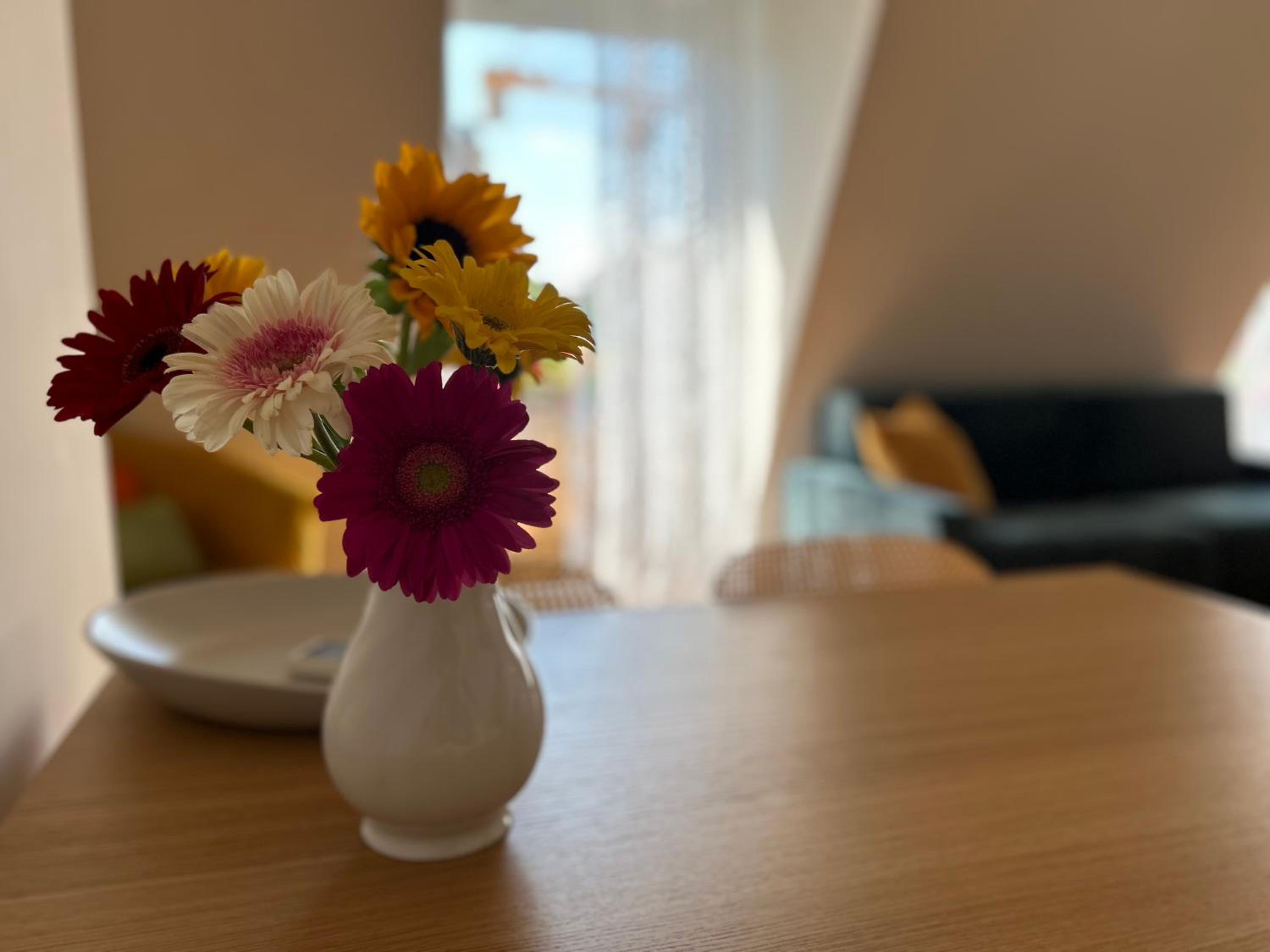 Easy Isola, for an easy stay