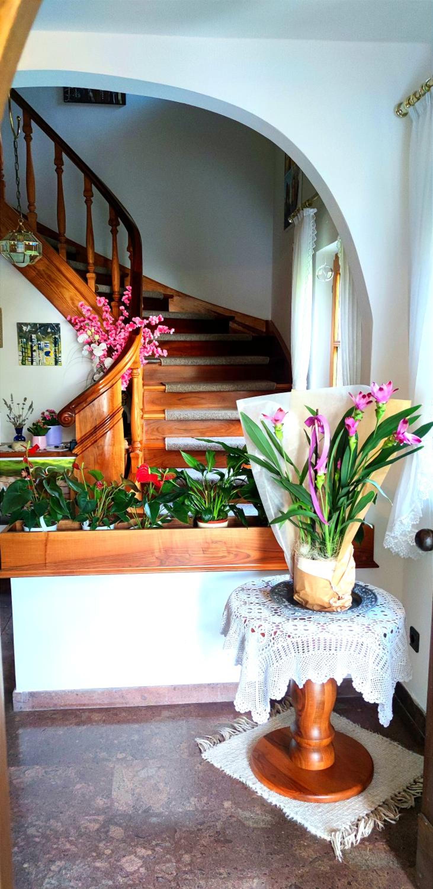 Appartements Villa Fortuna view 3