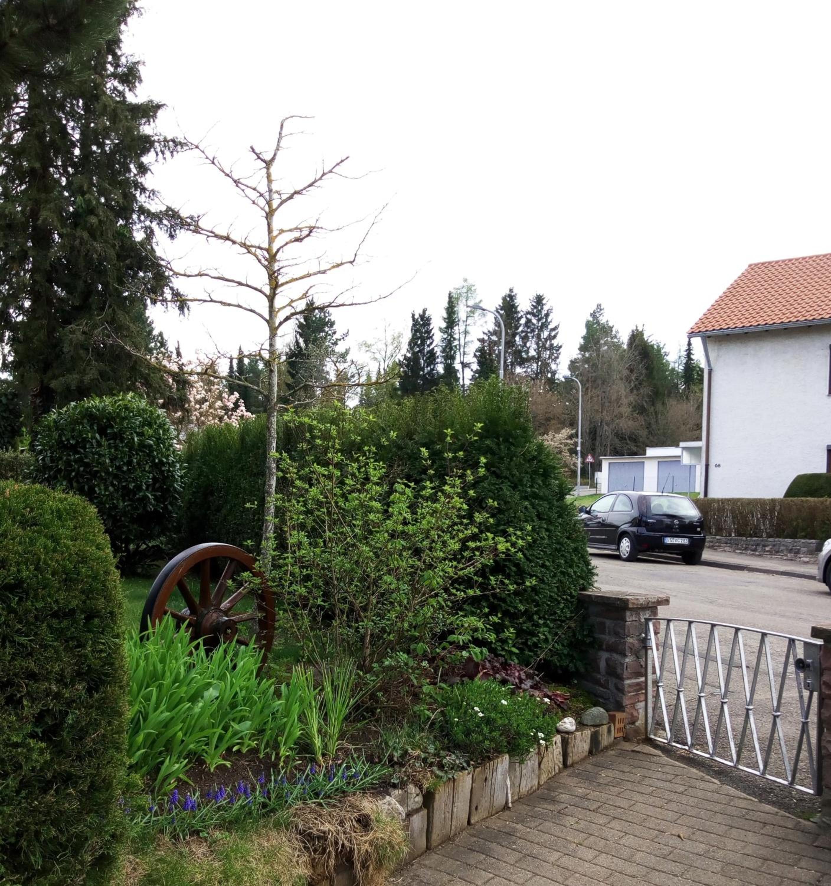 Photo 8